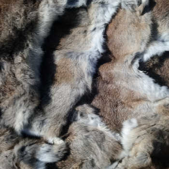 Fur Preview